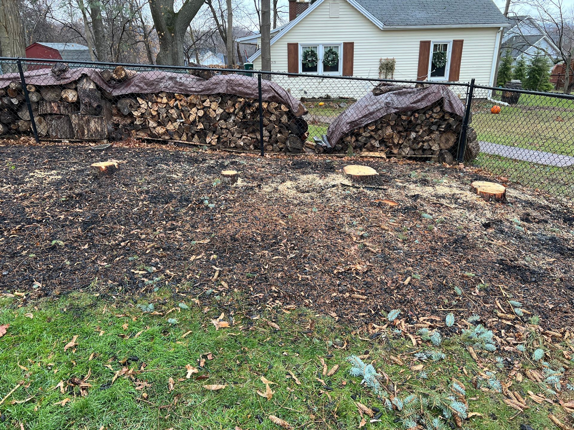 A pile of wood is sitting in the grass in front of a house.