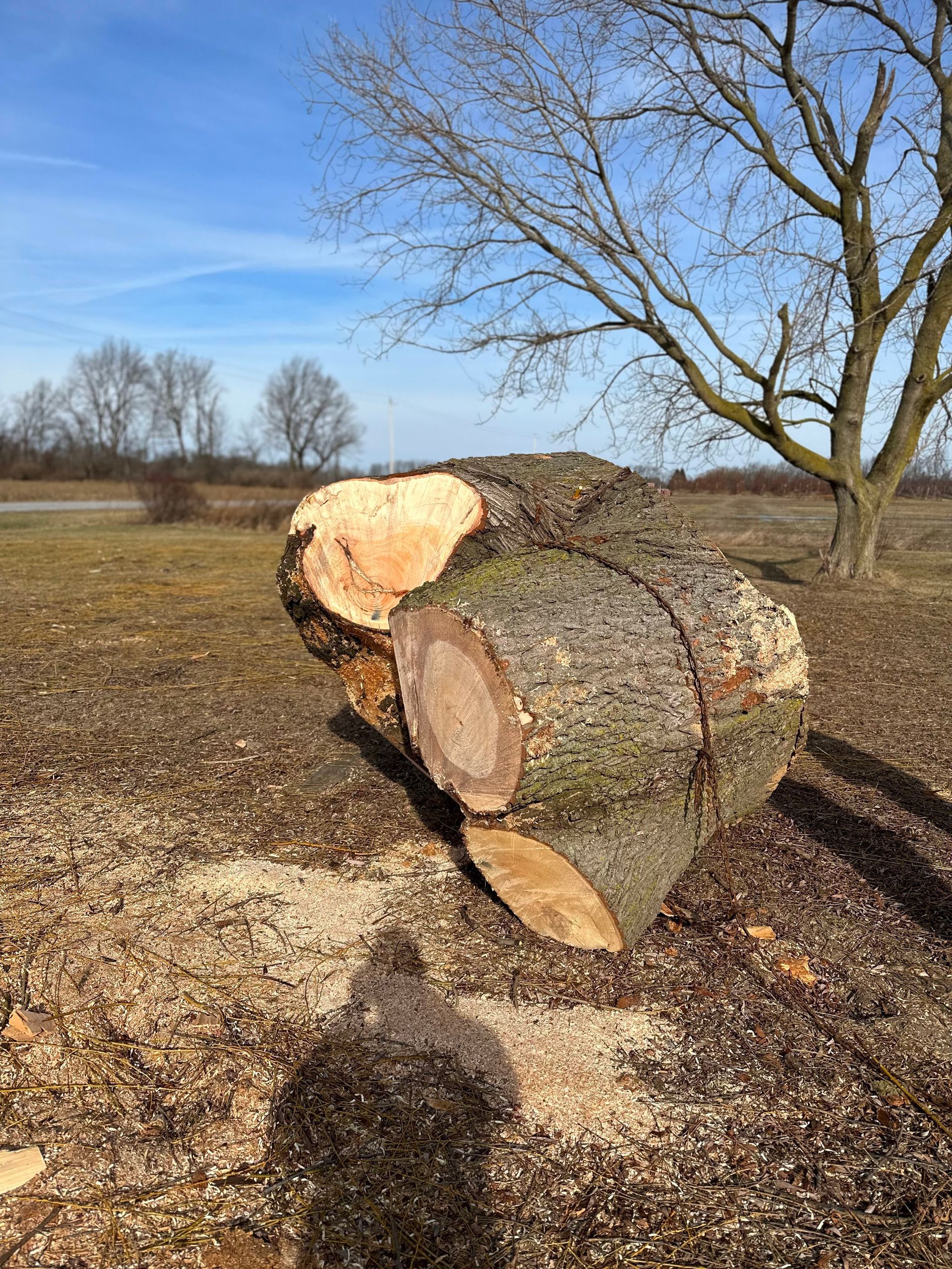 A large tree stump is sitting in the middle of a field.