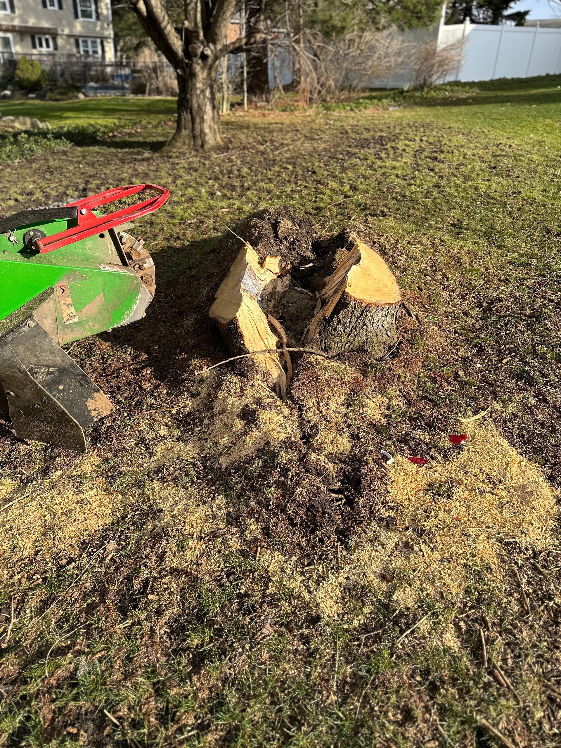 A stump grinder is cutting a tree stump in a yard.