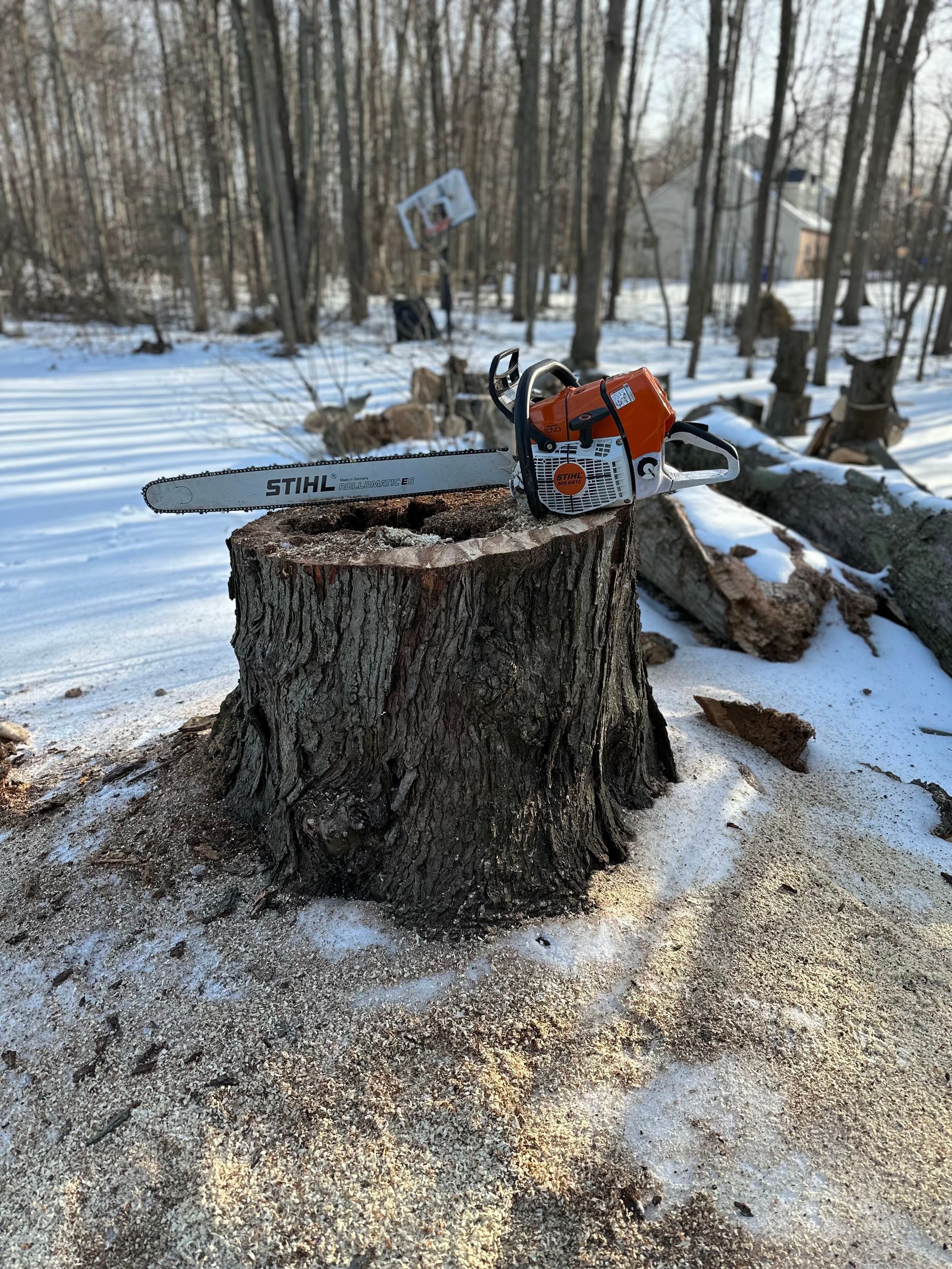 A chainsaw is sitting on top of a tree stump in the snow.