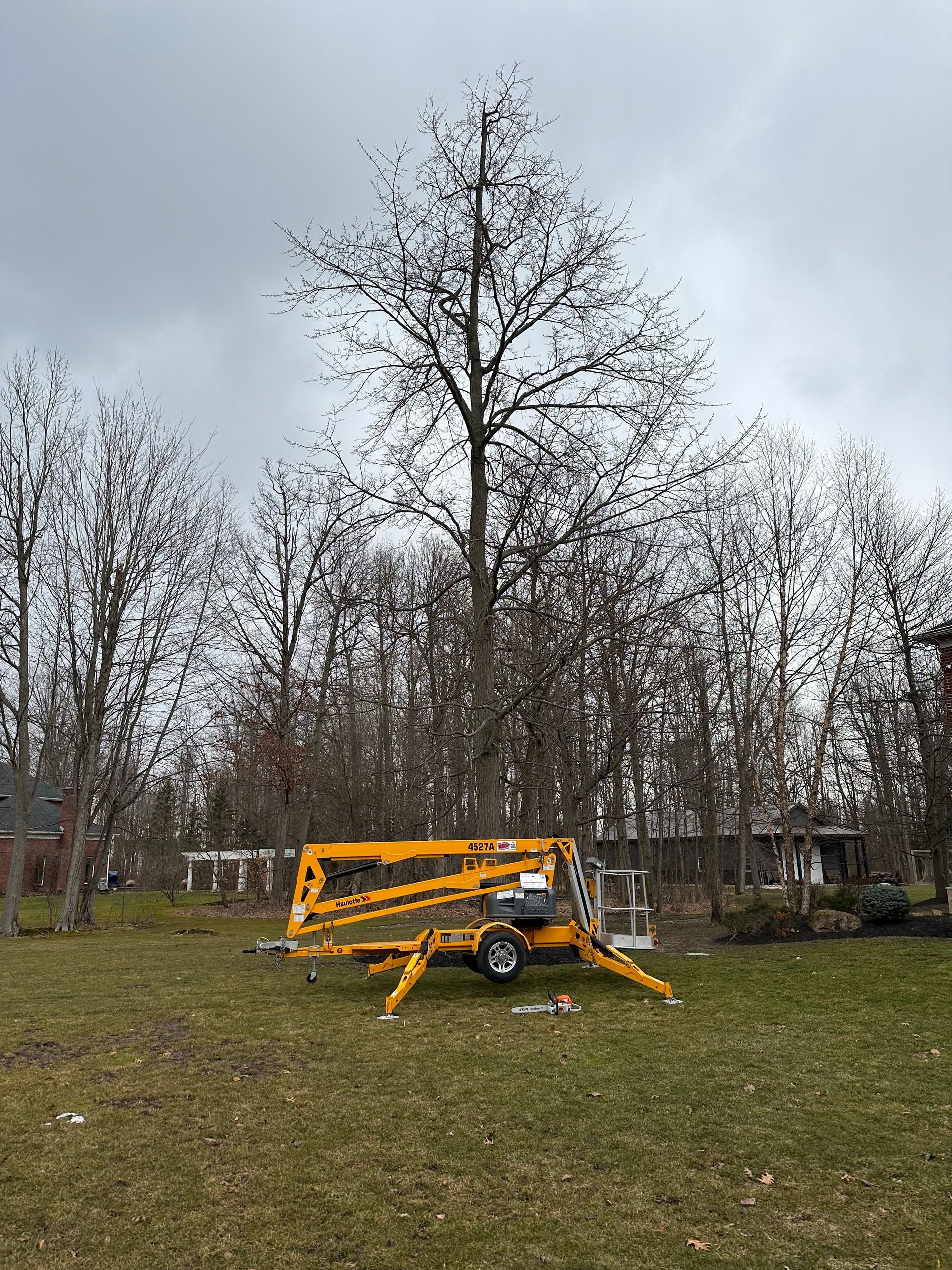 A yellow crane is sitting in a grassy field next to a tree.