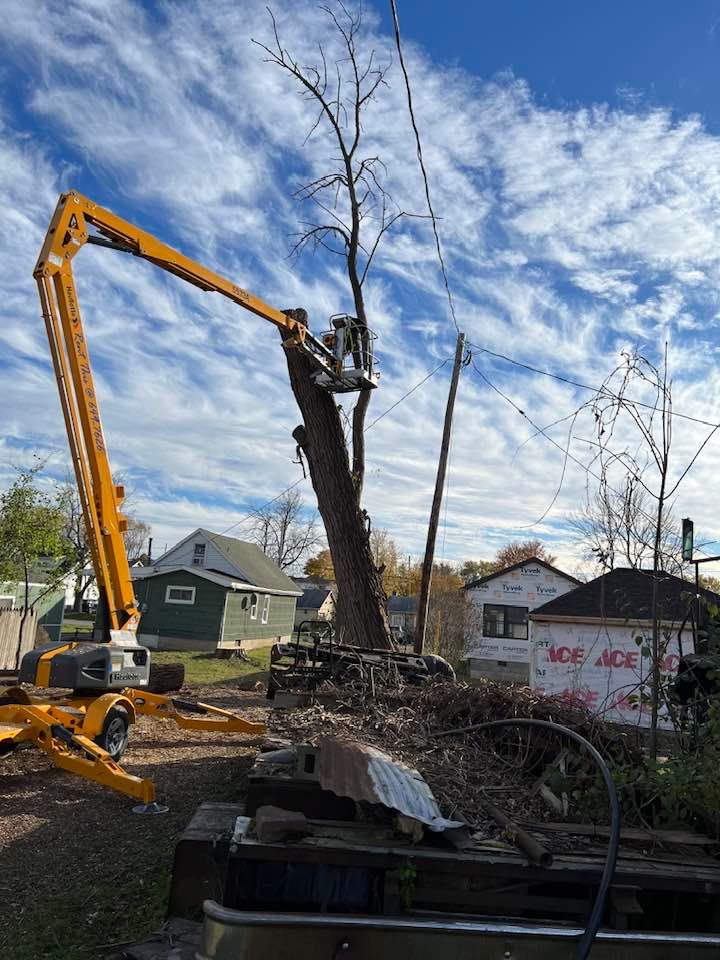 A man is cutting a tree with a crane in a yard.
