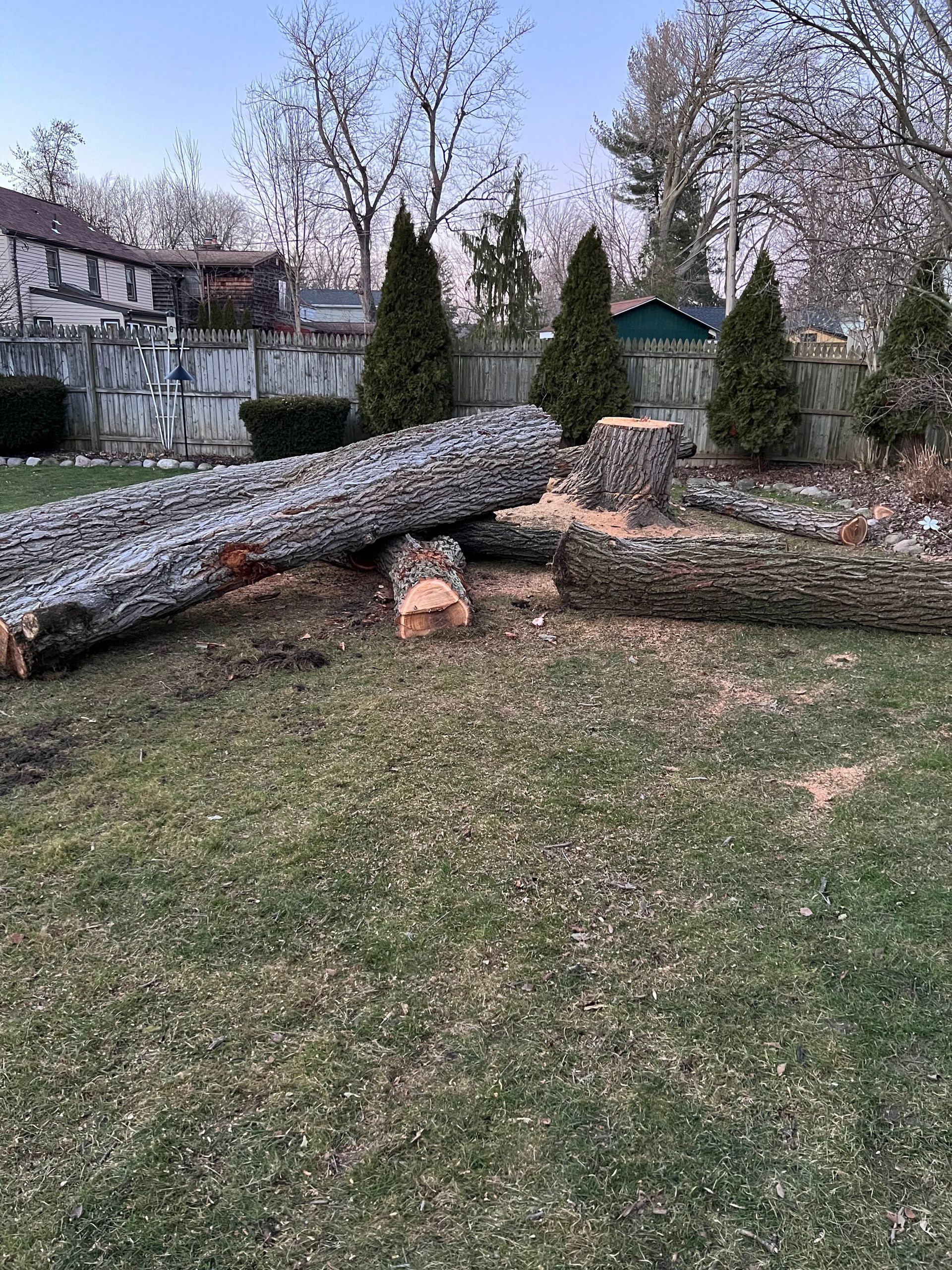 A pile of logs laying on top of each other in a yard.
