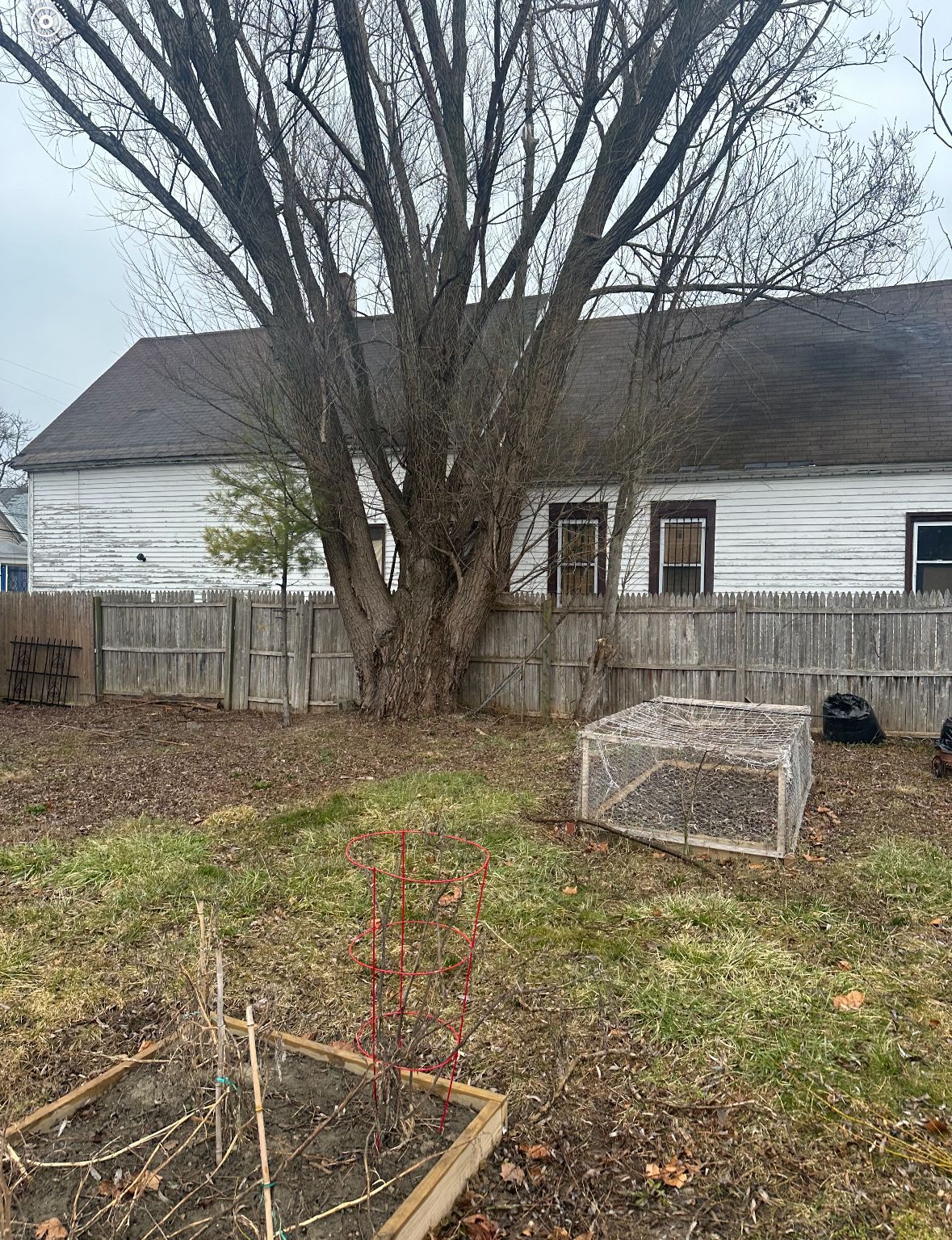 A backyard with a fence and a tree in front of a house.