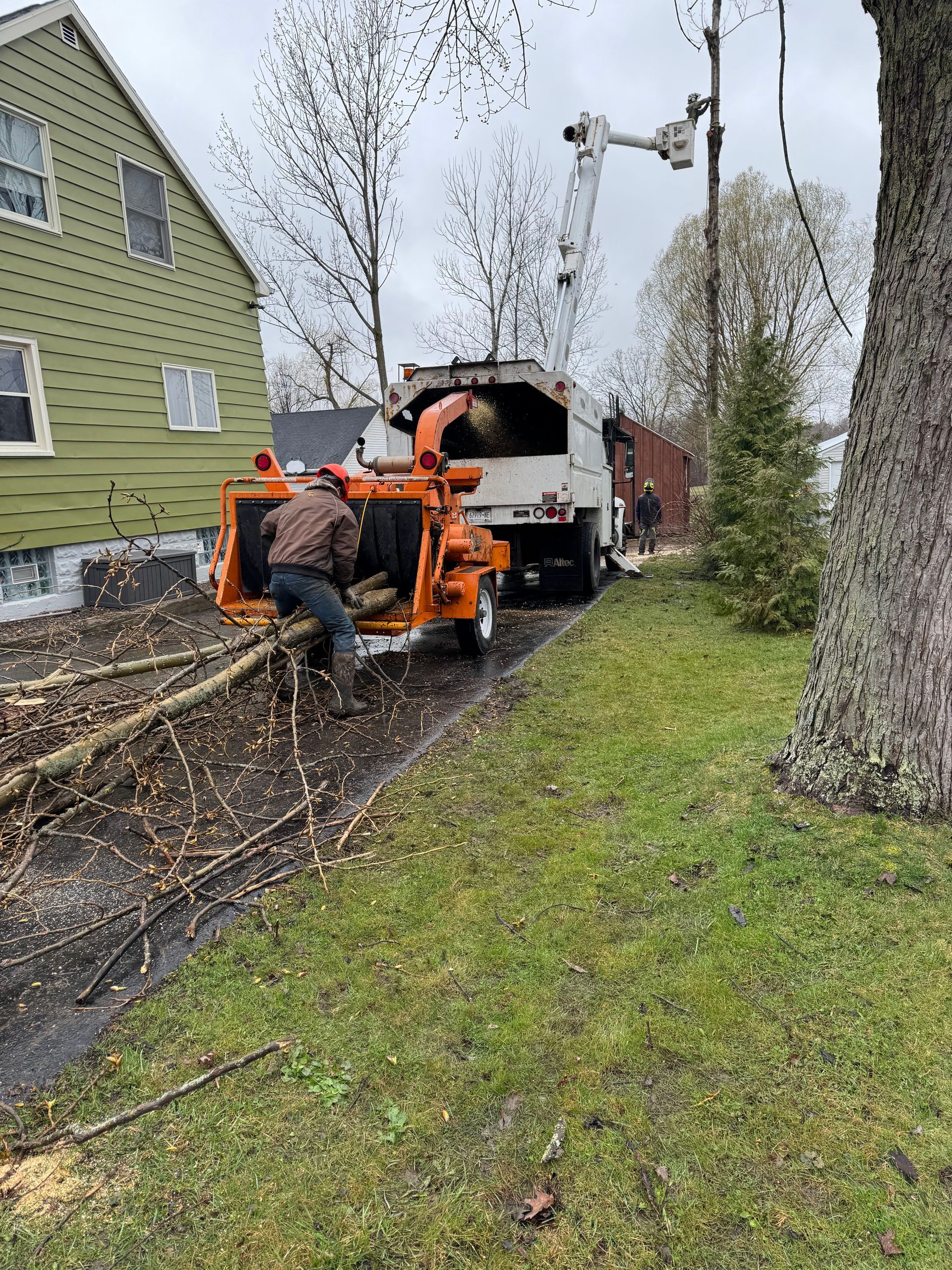 Tree Service | Erie County, New York | 1776 Tree Service