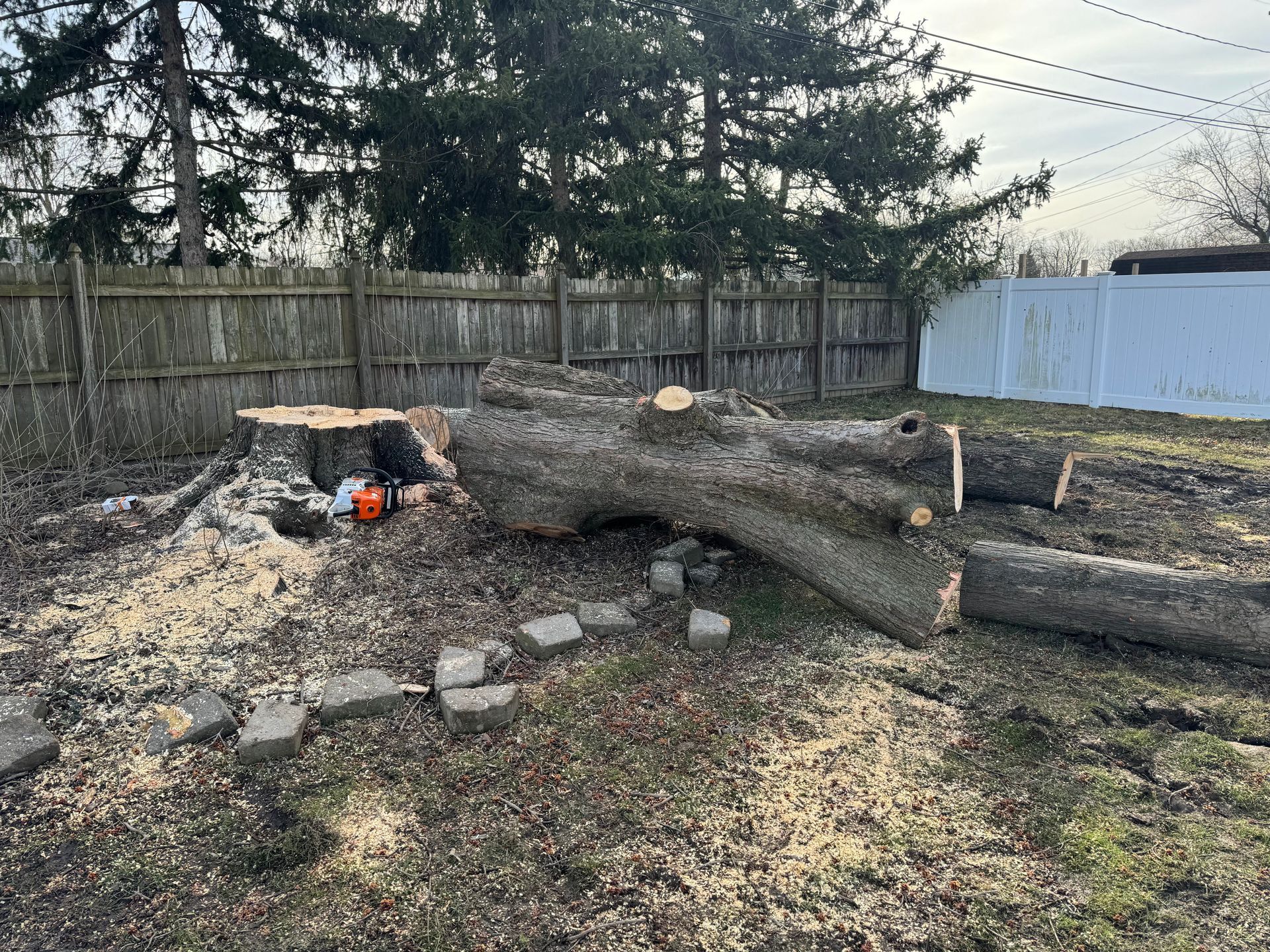 A large tree stump is sitting in the middle of a yard next to a fence.