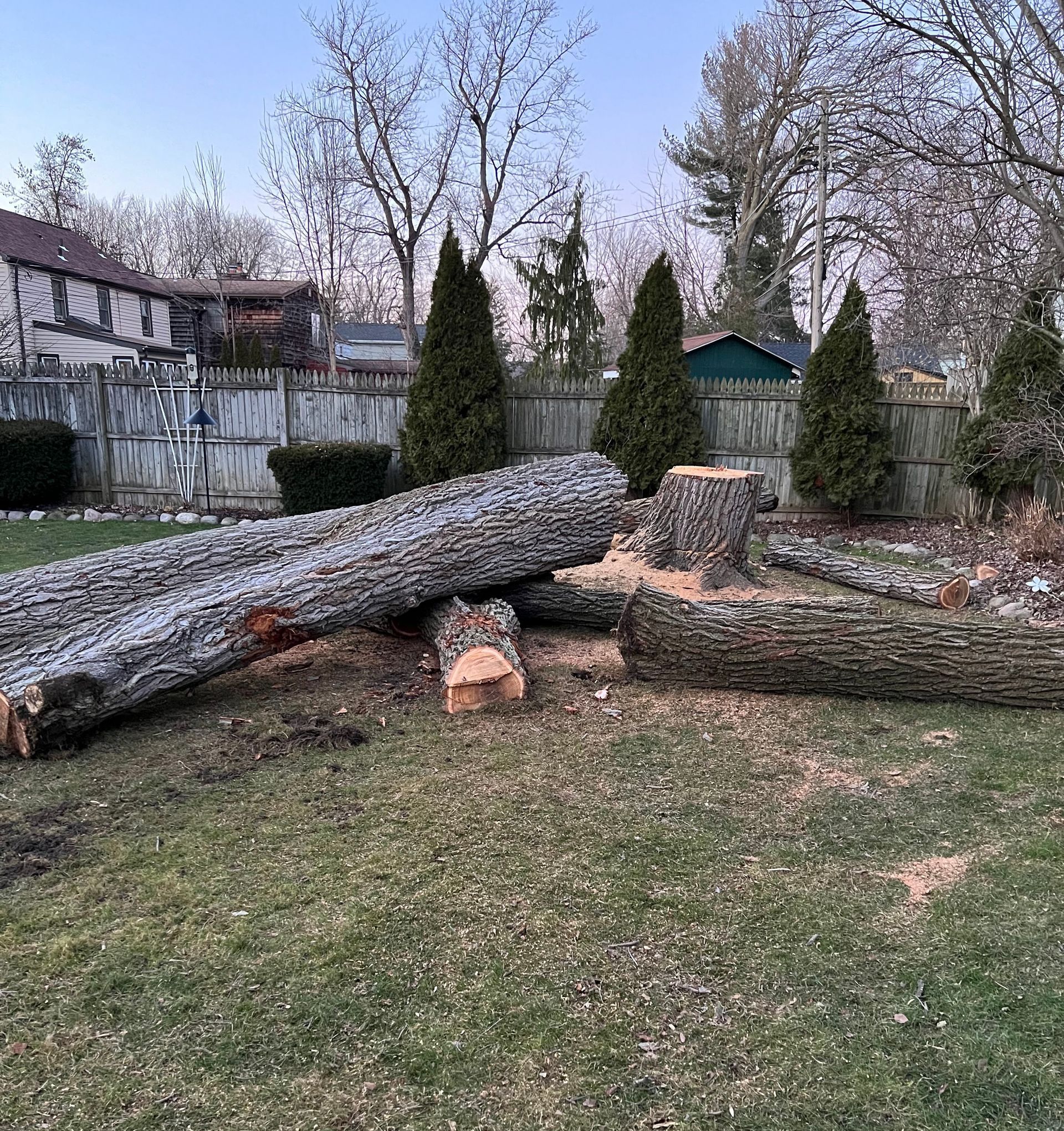 A pile of logs laying on top of each other in a yard.