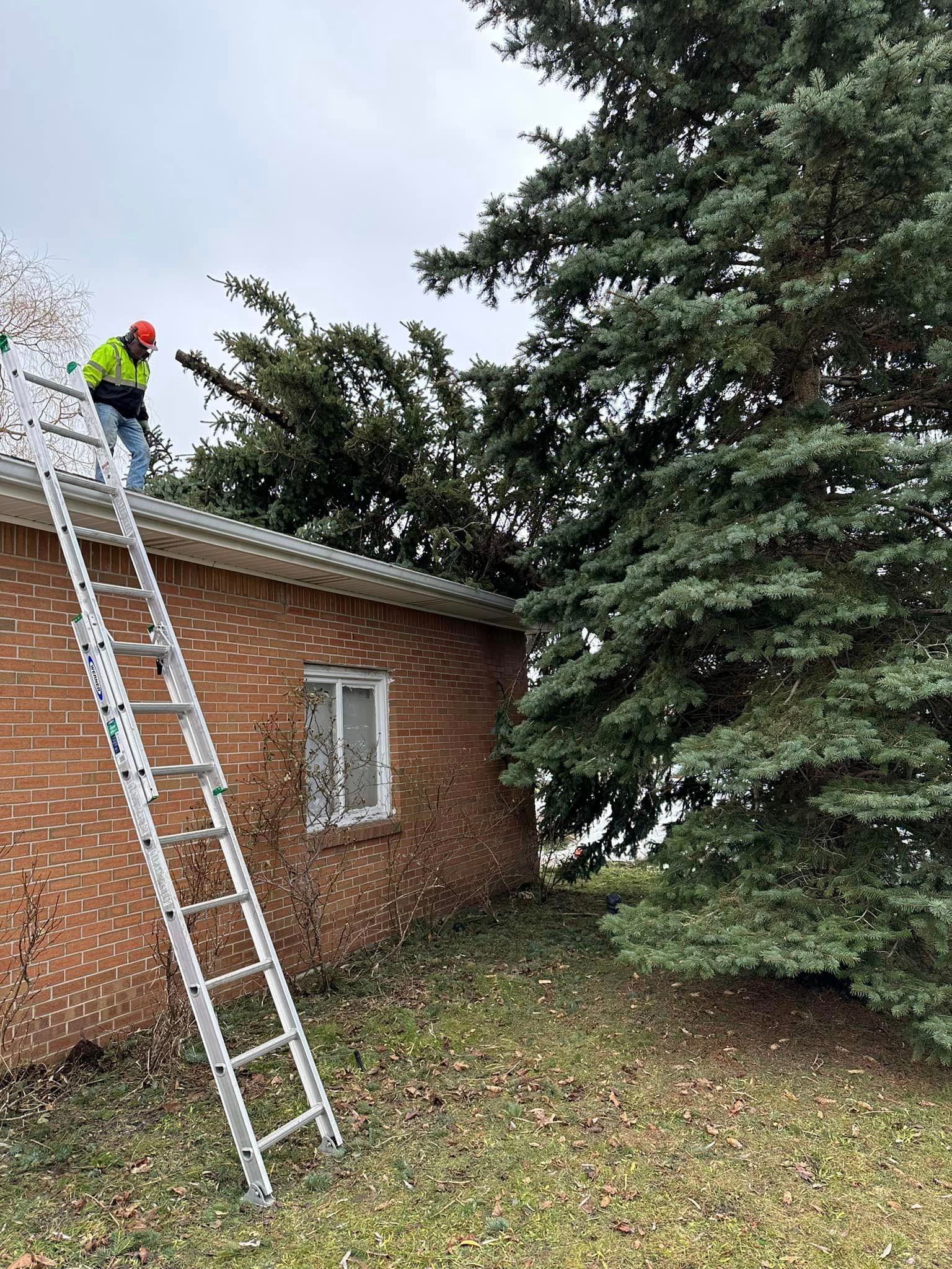 A man is standing on a ladder on the roof of a house.
