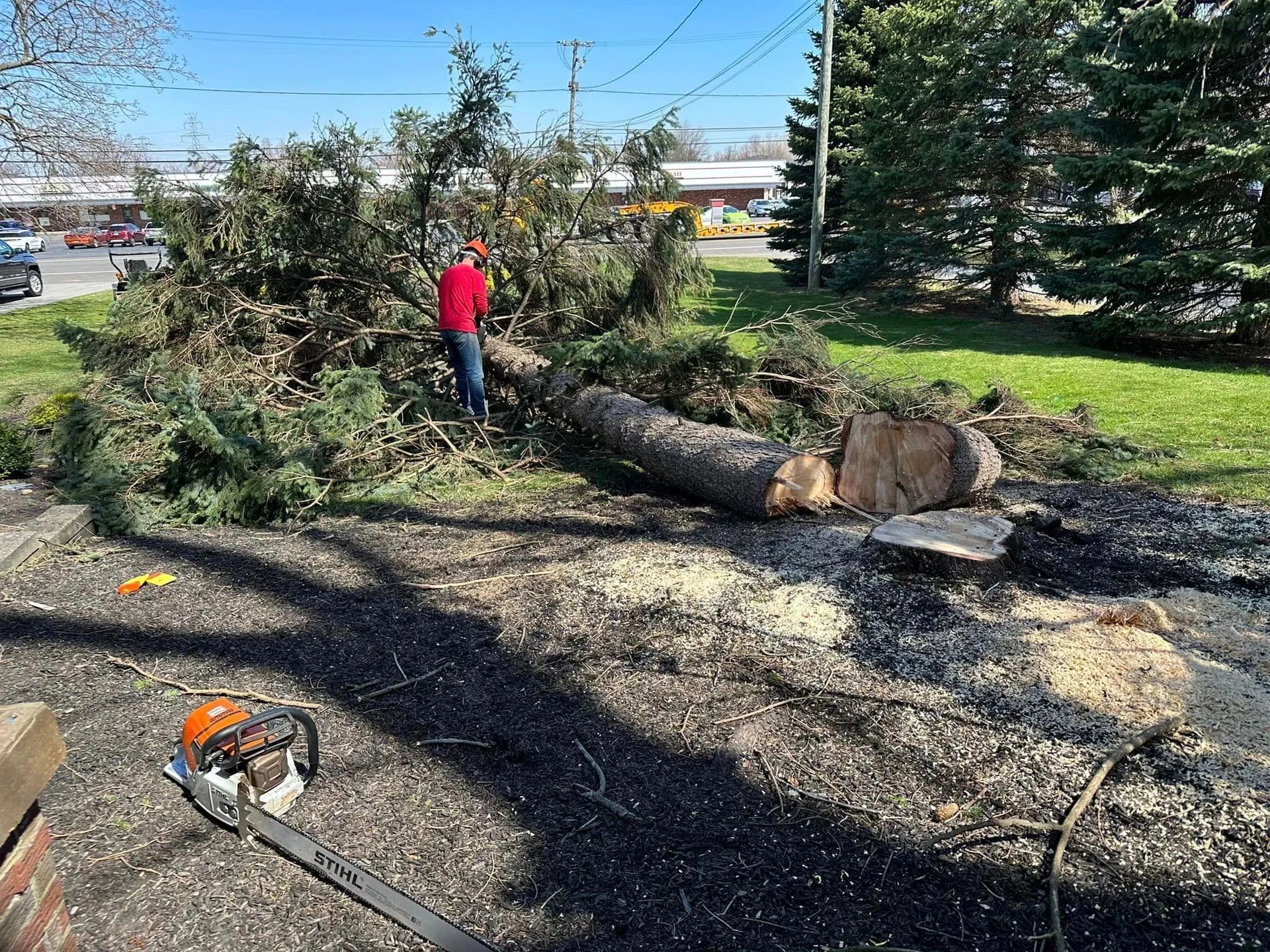 Person cutting tree branches with a chainsaw, debris on ground.