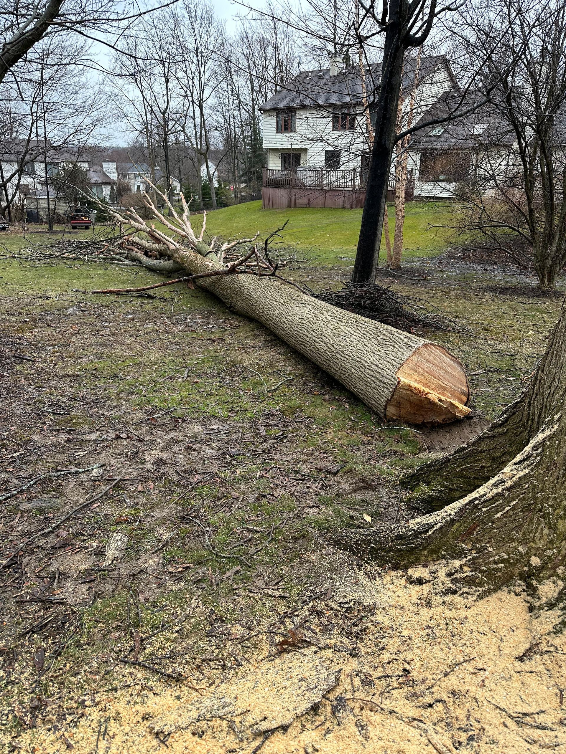 A large tree stump is laying on the ground in a field.