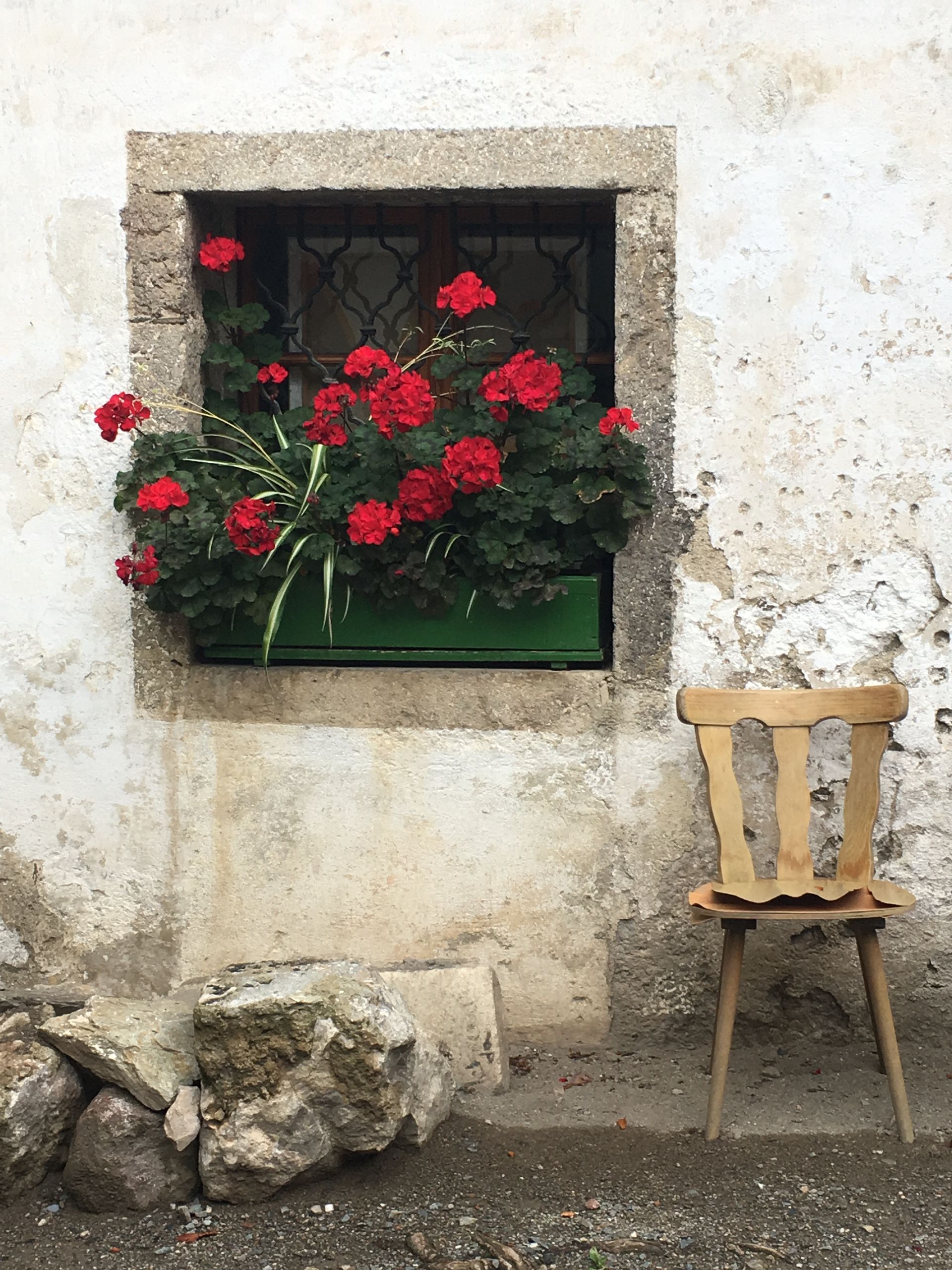 A wooden chair is sitting in front of a window with red flowers in it.
