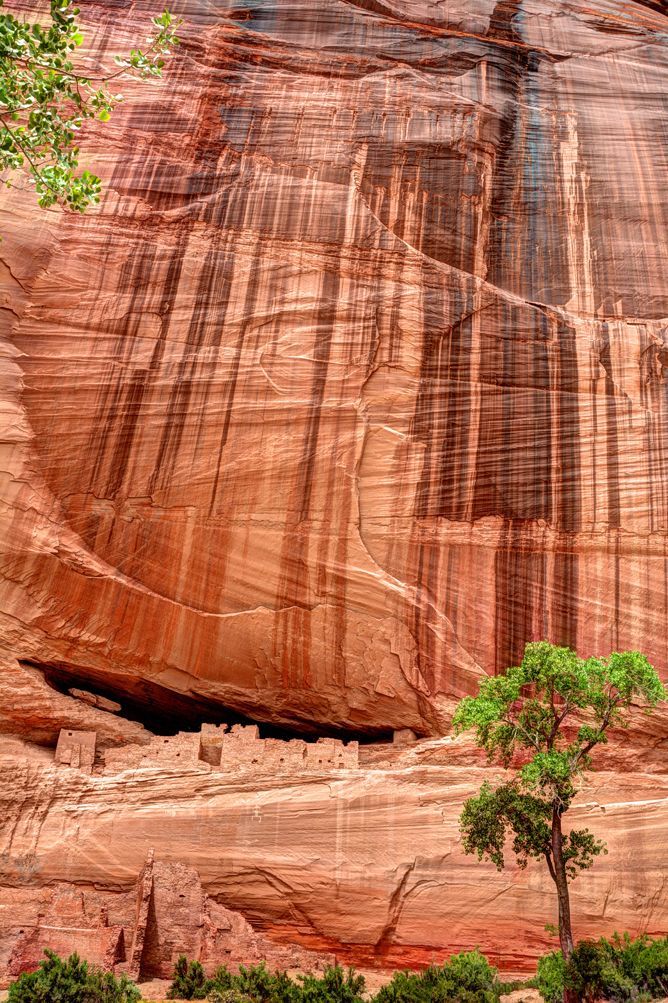 A tree is standing in front of a large rock wall.