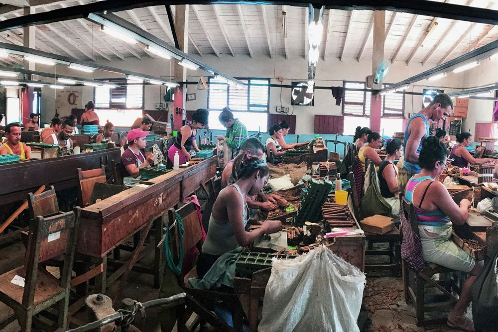 A group of people are working in a factory making cigars.