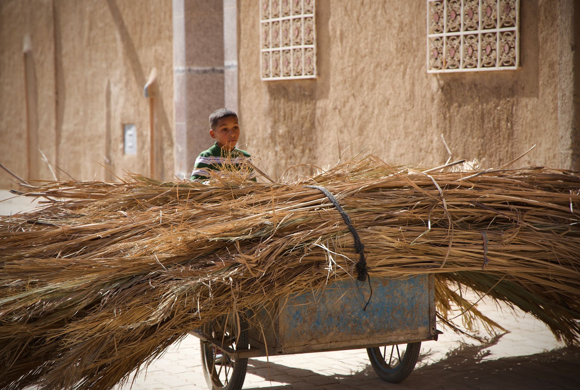 A boy is pushing a cart full of hay.