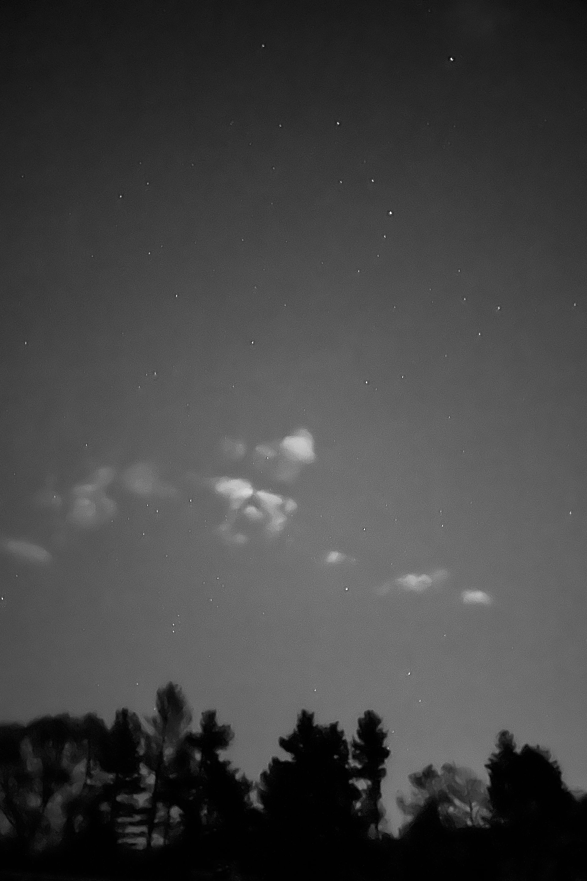 A black and white photo of a night sky with trees in the foreground.
