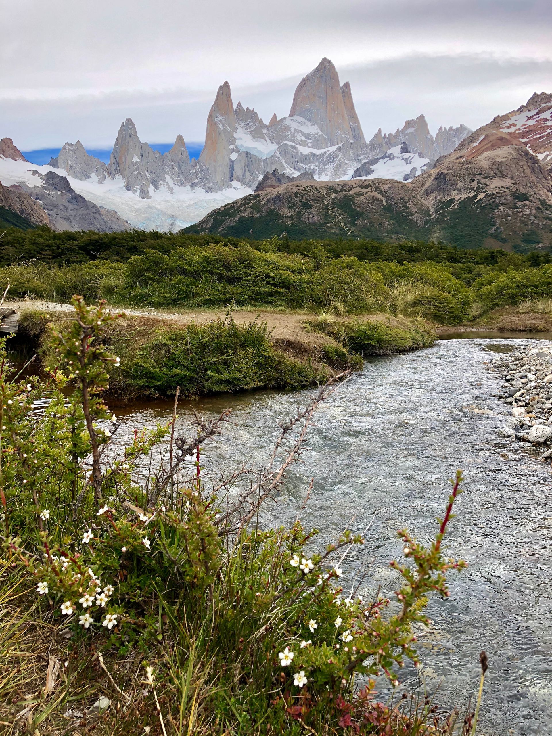 A river running through a lush green field with mountains in the background.