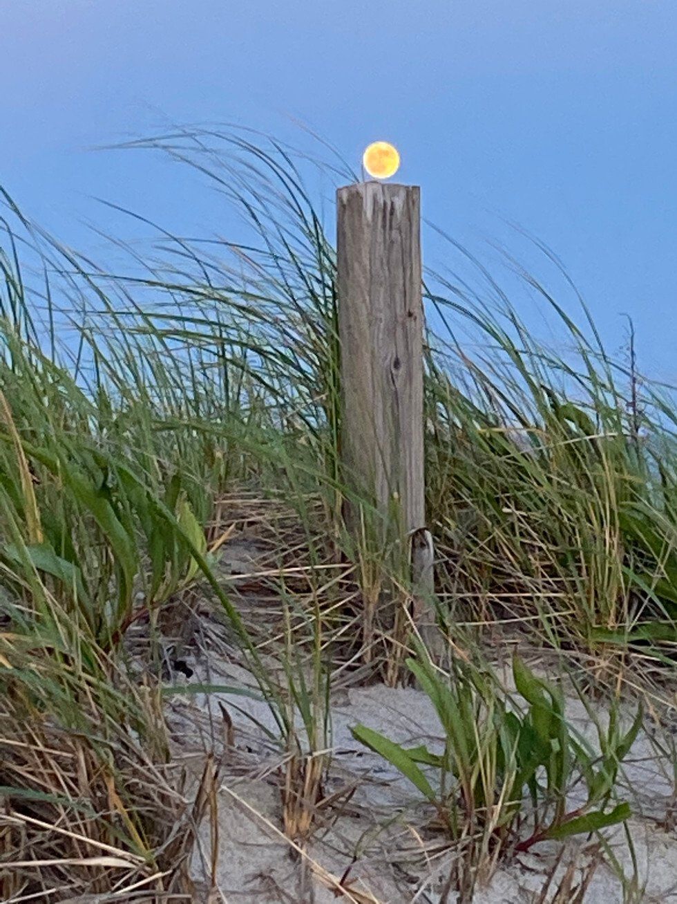 Marie McHugh_Harvest Moon_Neil Young.jpeg