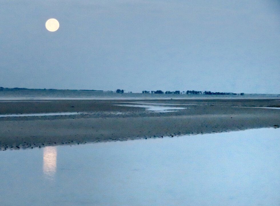 Morning Moon
