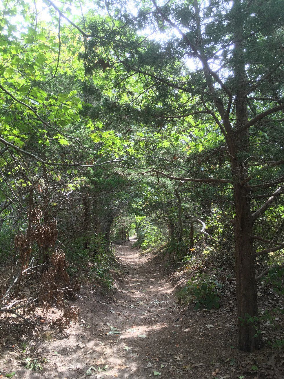 The Rabbit Hole