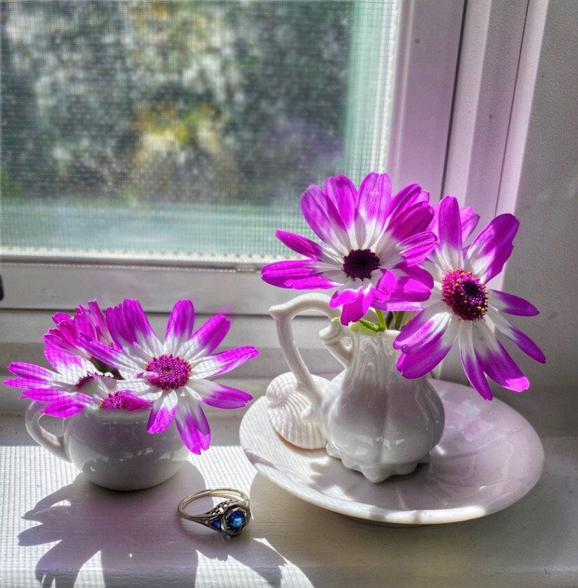 Edward Kennedy_Little Flowers.jpg