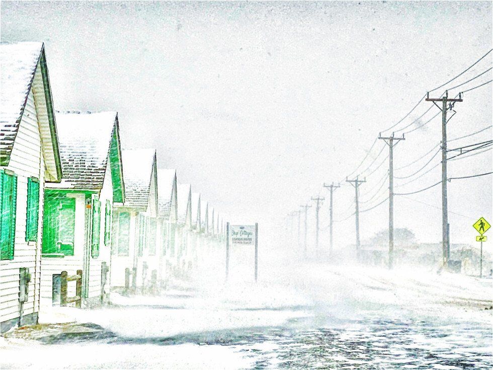 Snowy Days - Judges Award