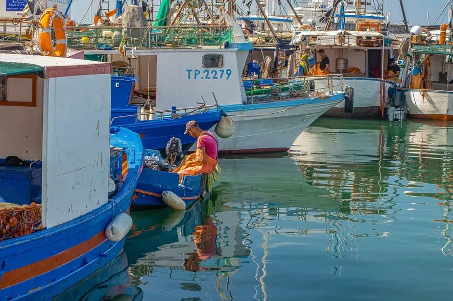 Rachel Doddridge-Peter Blatz_Sicilian Fishing Village_Busy.jpgOver Moosehead Lake_Magical.jpg
