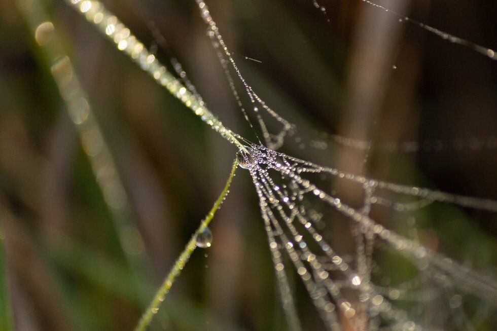 Water Drops 10-7-2021-08.jpg