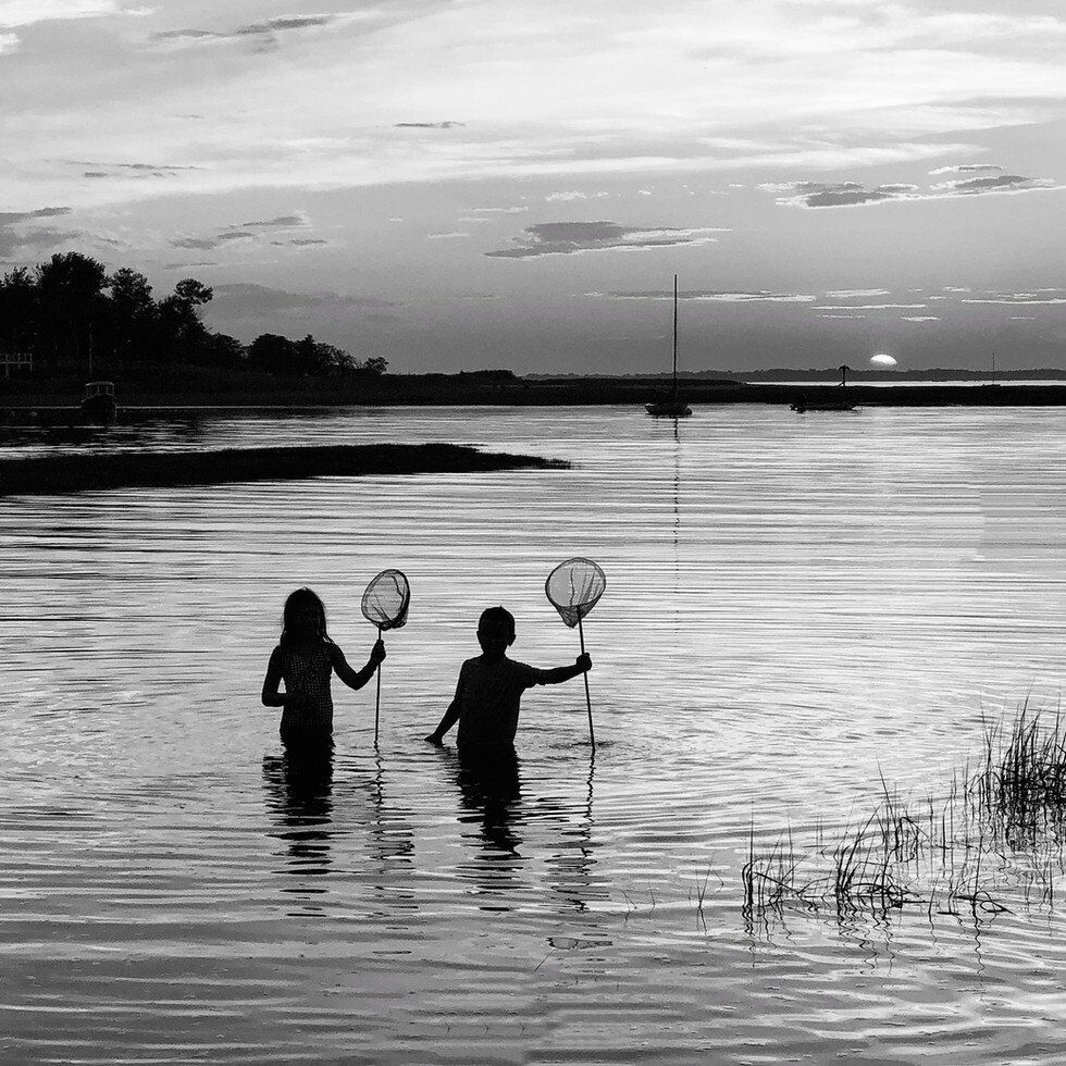 Good Night Cape Cod - Judges Award