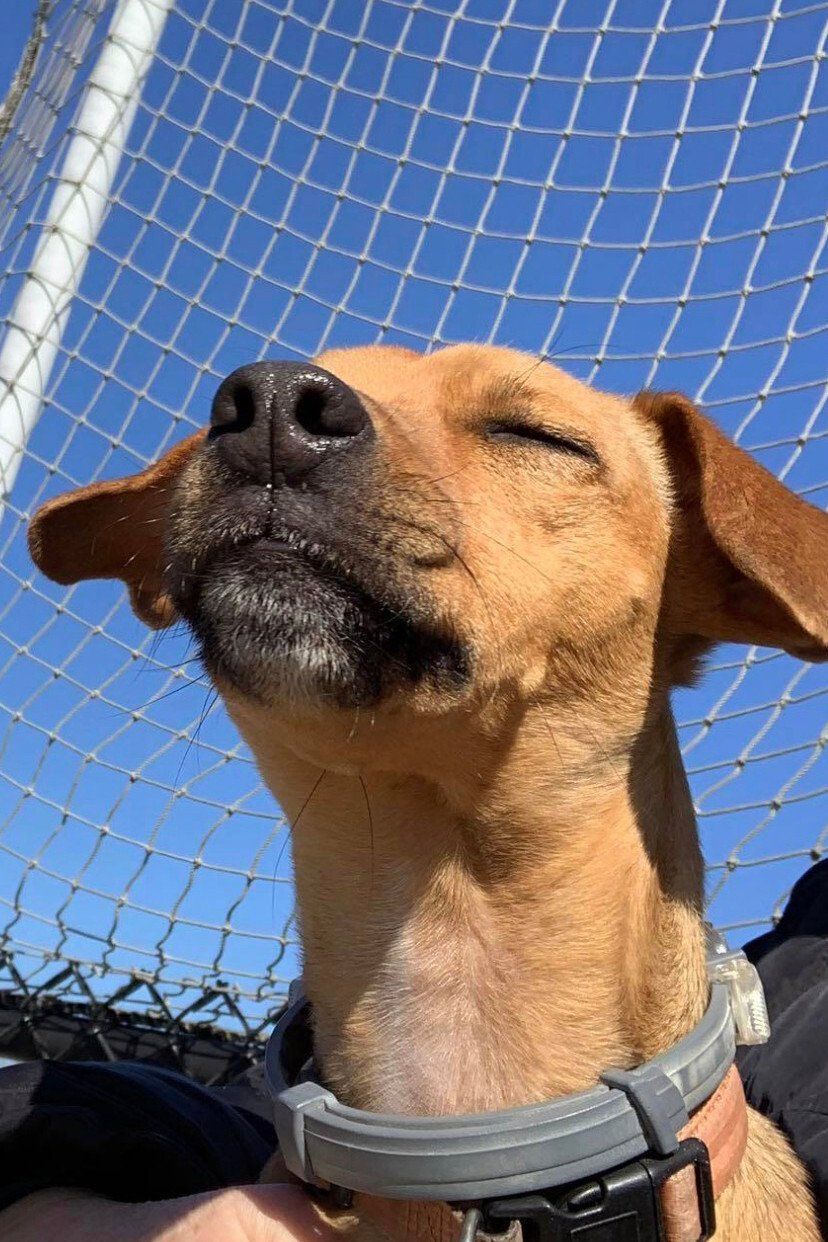 Jane Corbin_Dakota.jpg