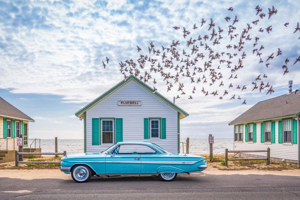 Nancy Bloom_Bluebell.jpg