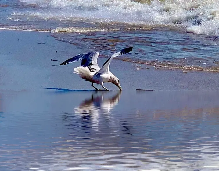 Nancy Silva_A Moment of Calm_Tranquility.jpeg