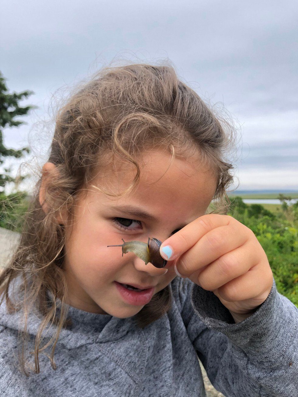 Ina OReilly_Seeing Eye to Eye.jpg