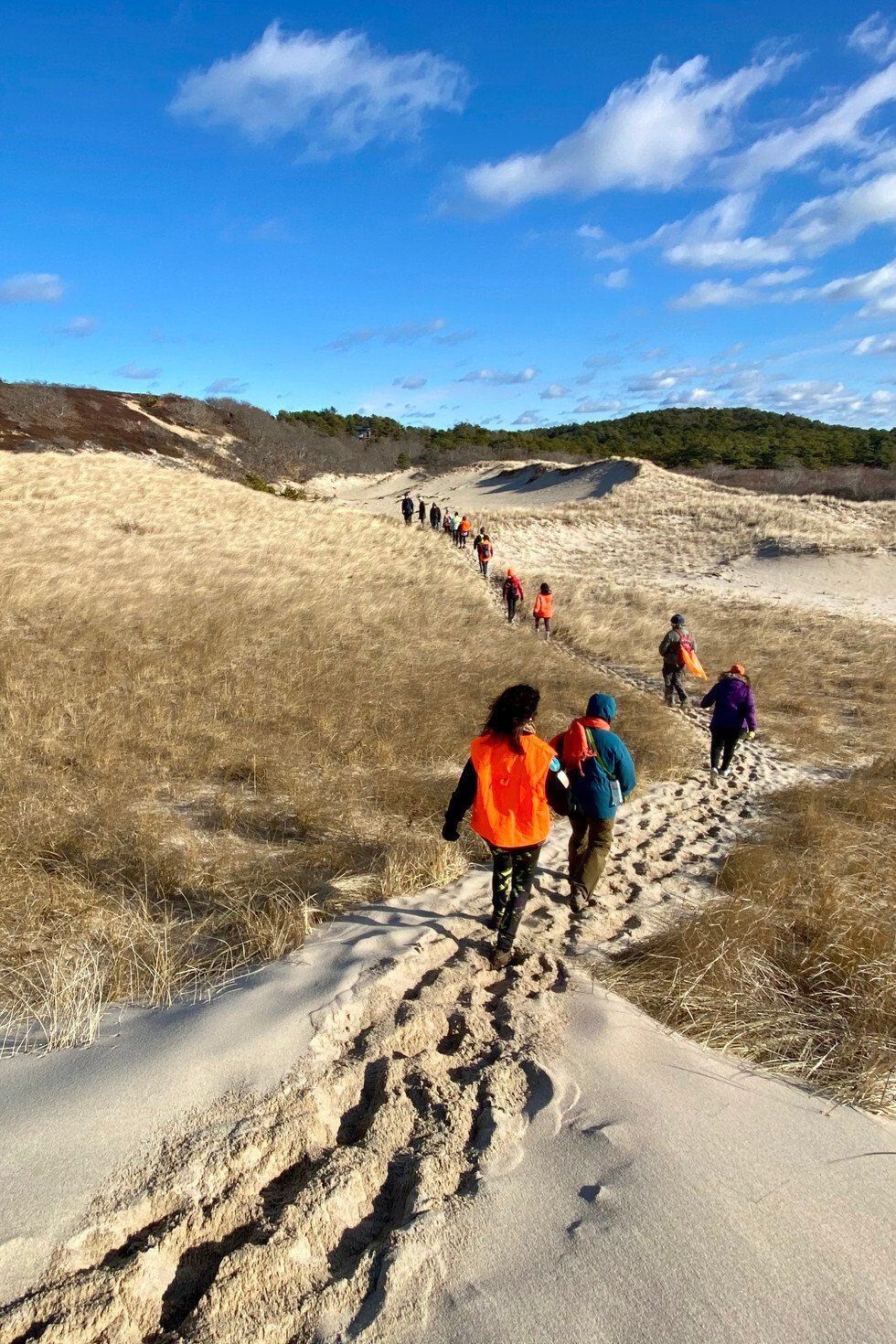 Janet Baker_Miles of Smiles.jpg
