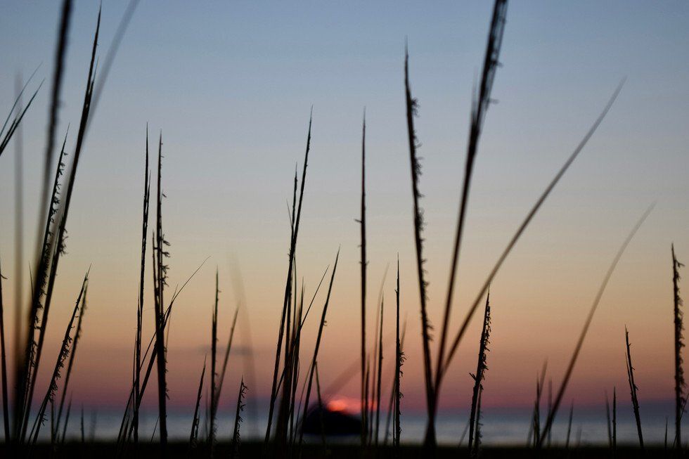 Katie Francesconi_Dyer Prince Sunset.jpg