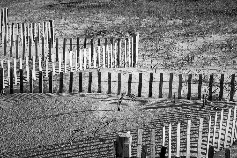 Sand Fences