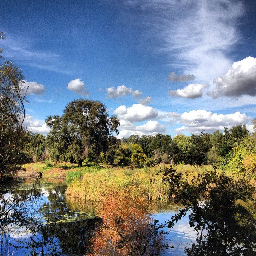 Kimberly Kinser_The Pond at Mokelumne Village East 2014.jpg
