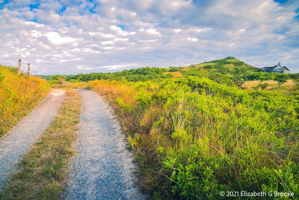 Bearberry Hill, Eastern Summit, Truro