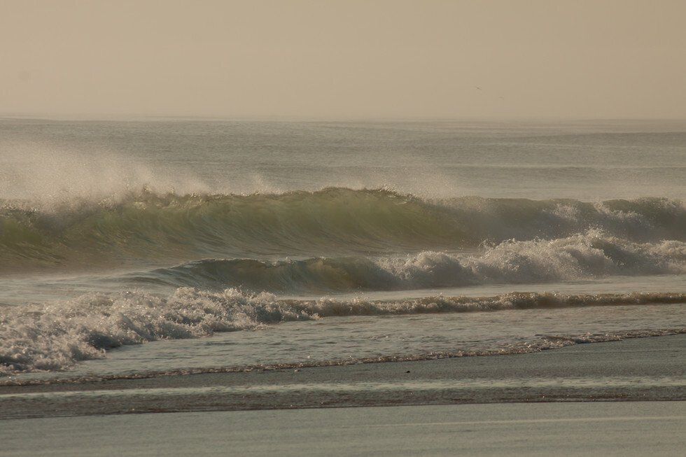 Nauset Beach October 2020 (13 of 55).jpg