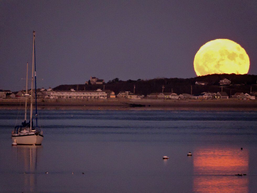 Halloween Moon