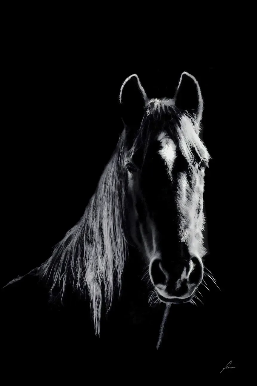 Patricia Durr-Turo Nero.jpg