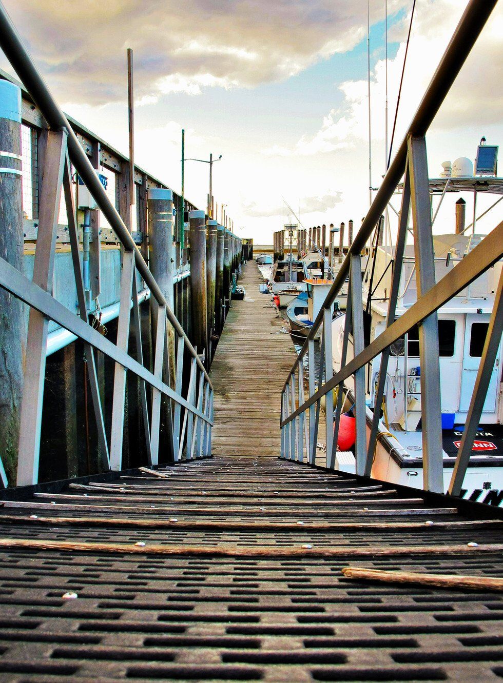 Sophie McKendree_Harbor.jpg