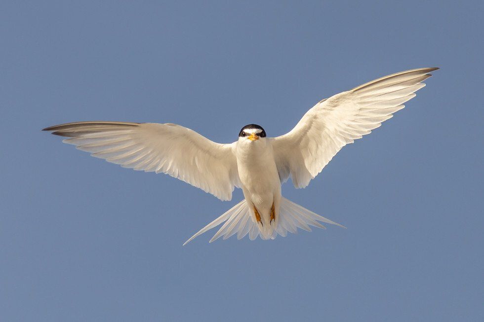 Merkel Beach 6-10-2021-06.jpg