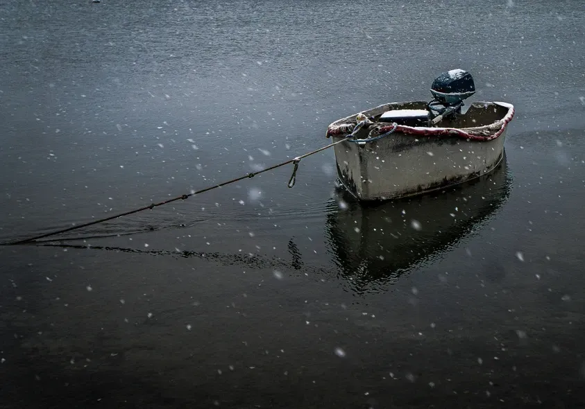 Luke Foley_Christmas Day at Ryders Cove_Christmas.jpg