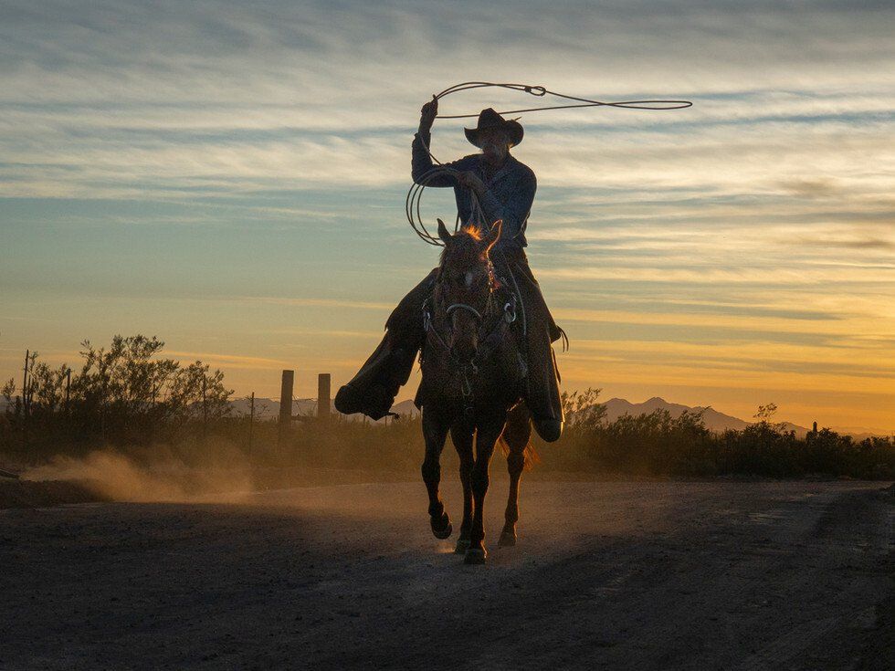 Sunset Cowboy