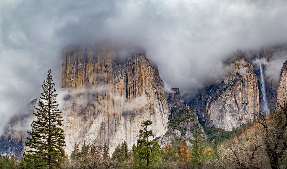 Connie Albuquerque_Shrouded.jpg