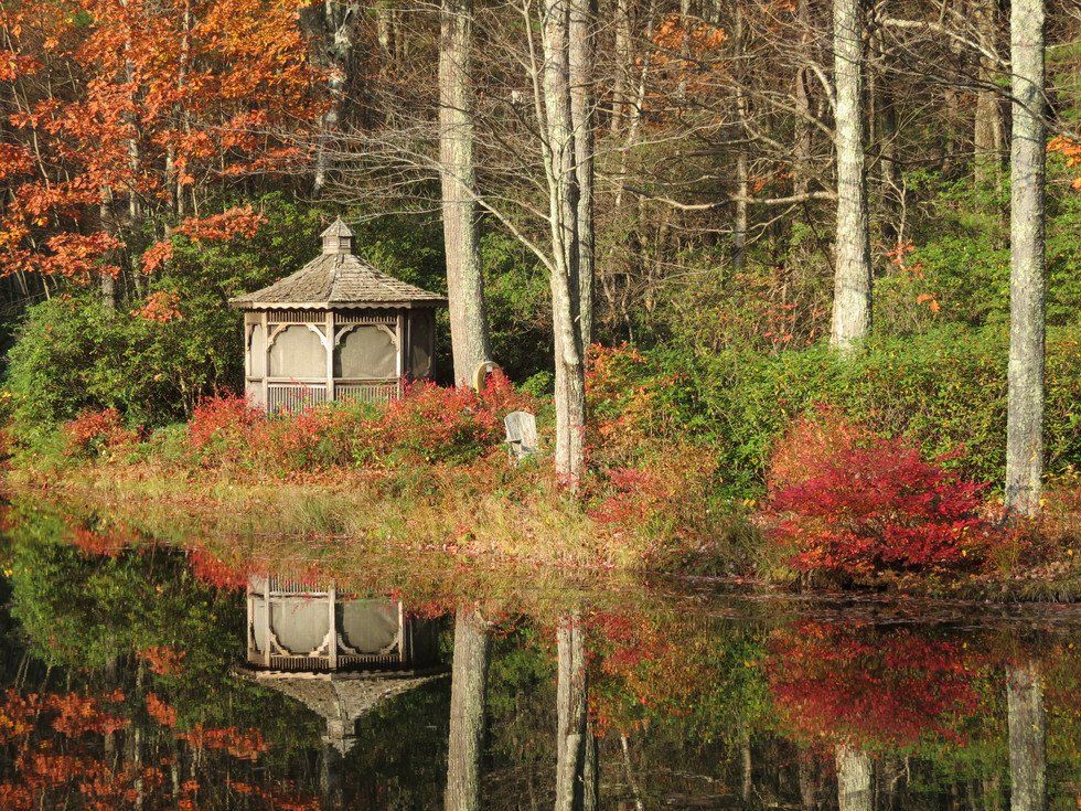 Autumn Reflections