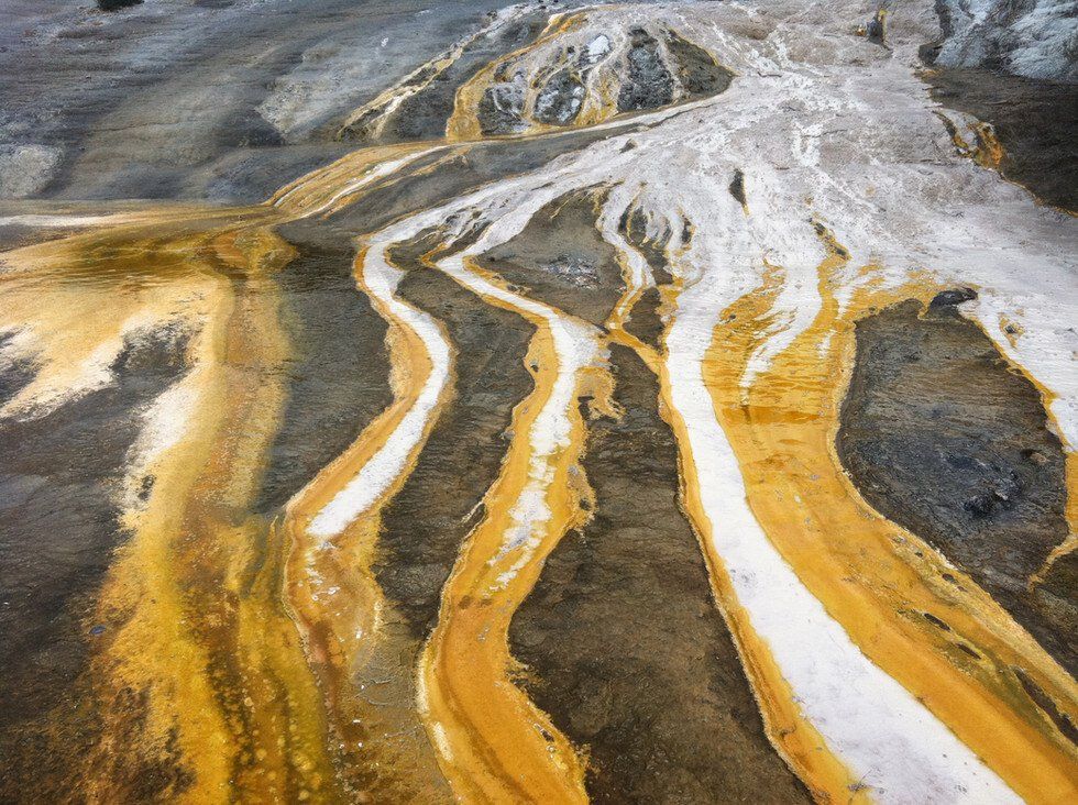 Alan Drabkin_Nature as Art.jpg