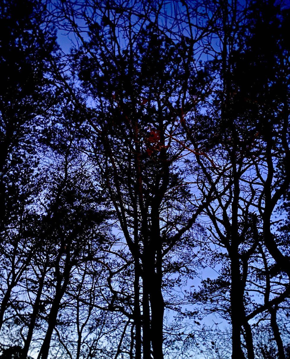 Breathing Room