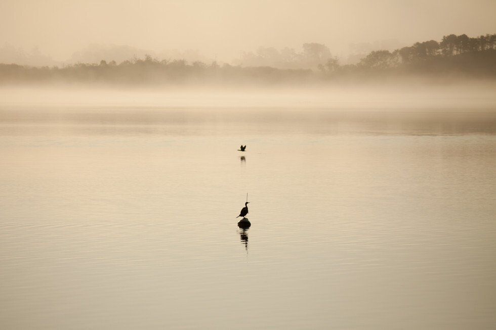Foggy Pleasant Bay (3).jpg