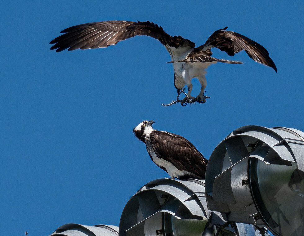 Your Not Dropping That On Me